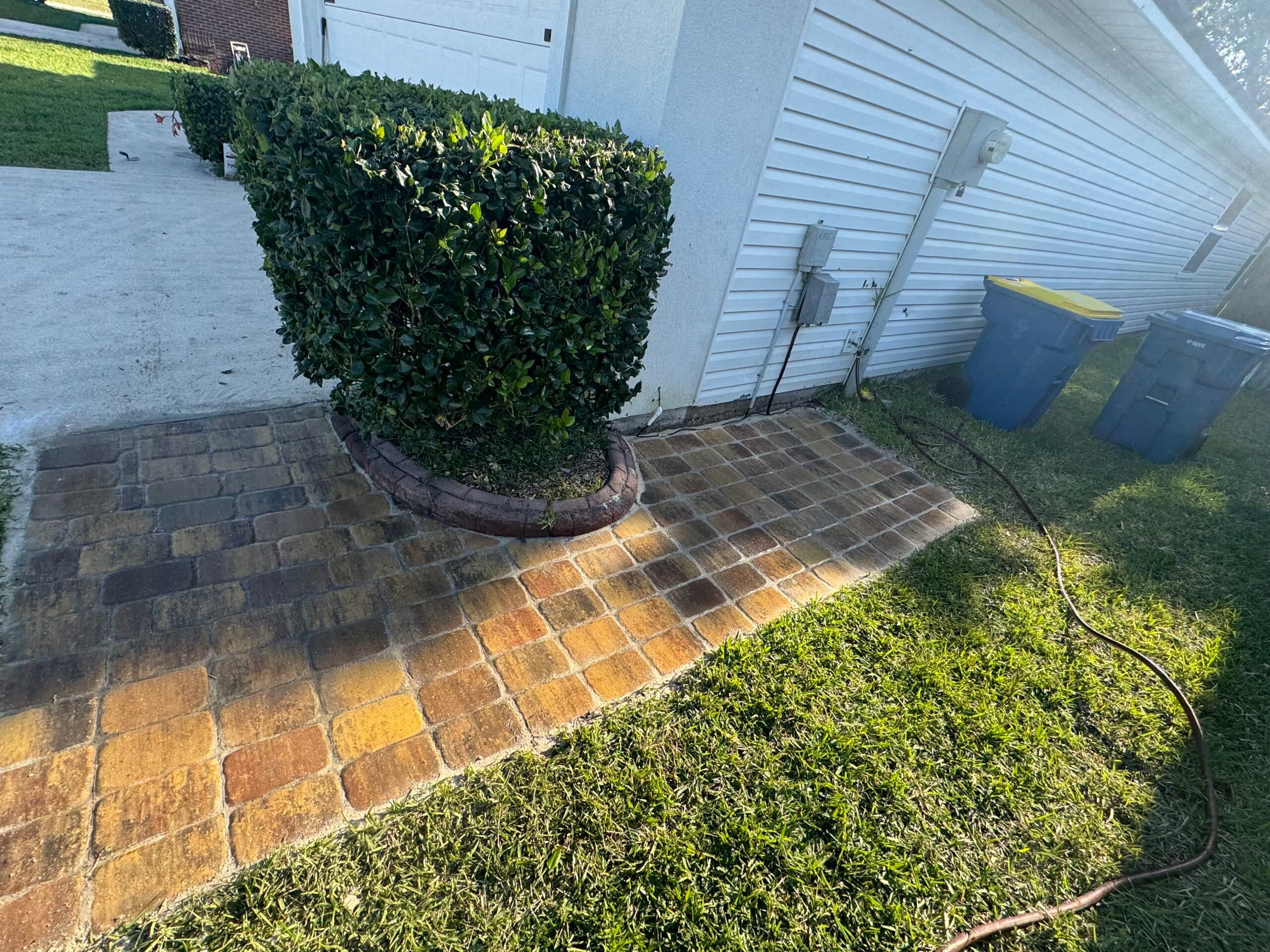 Professional tree trimming and canopy work in Northeast Florida